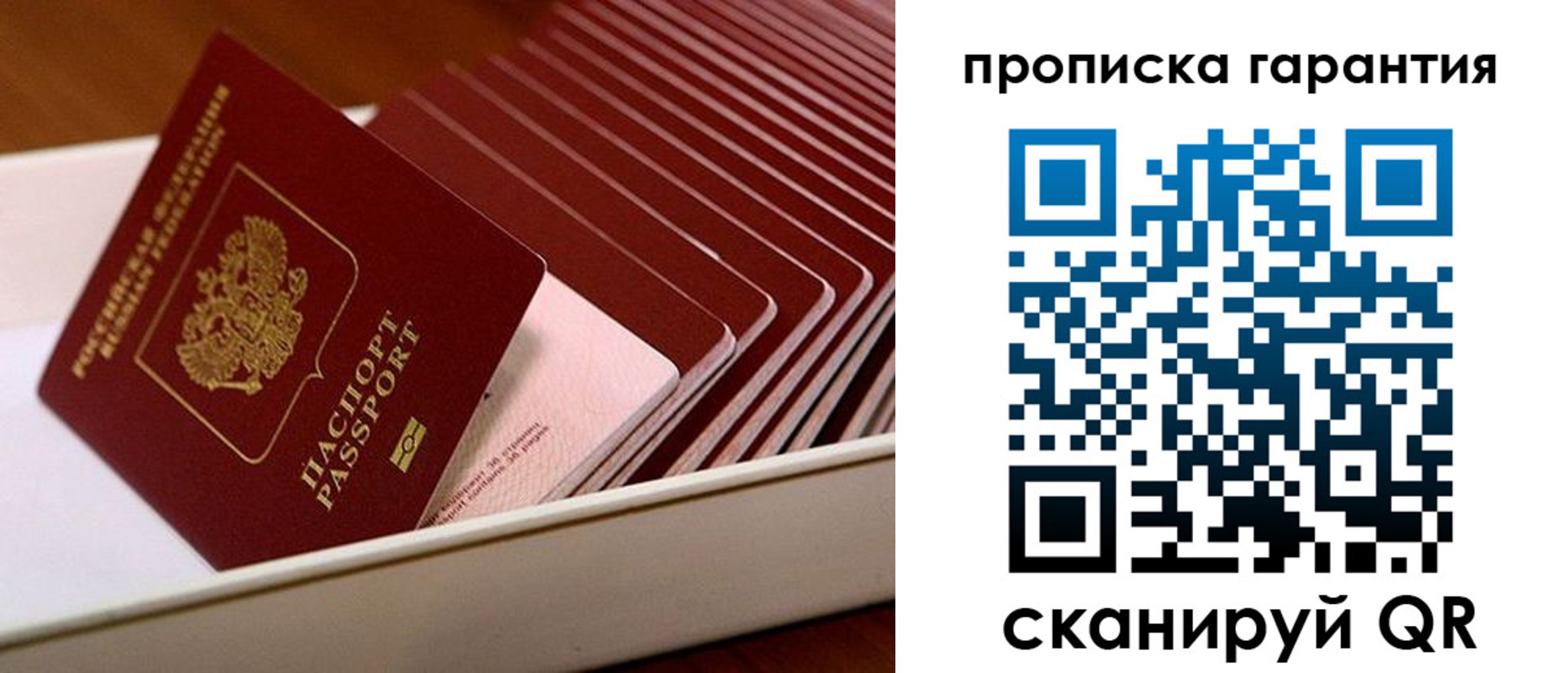 прописка поиск в Березниках